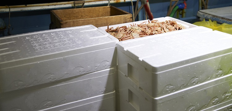 求問毒理未來的前景在何方 ?關(guān)于第三檢測行業(yè)，食品檢測、消費品檢測和環(huán)境檢測，業(yè)務的開發(fā)方向有什么差異。 