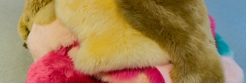 毛皮耐汗?jié)n色牢度試驗(yàn)