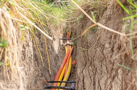 氧化穩(wěn)定性測(cè)試