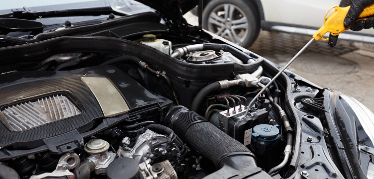 人源性腦提取物注射誘導(dǎo)恒河猴亨廷頓病模型