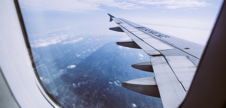 AAV注射誘導恒河猴多系統(tǒng)萎縮模型