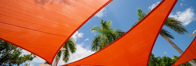 植物脯氨酸檢測(cè)