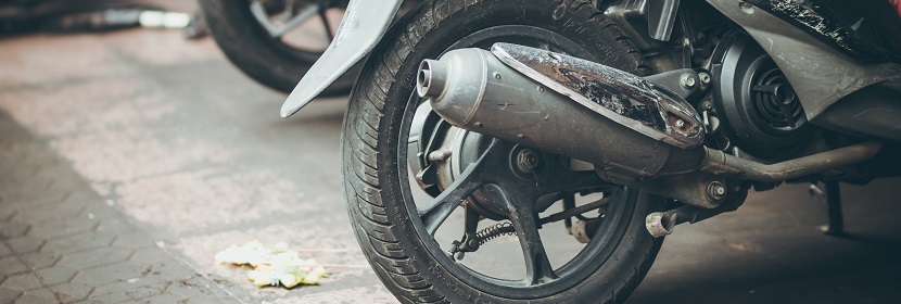 類風濕關(guān)節(jié)炎大鼠模型