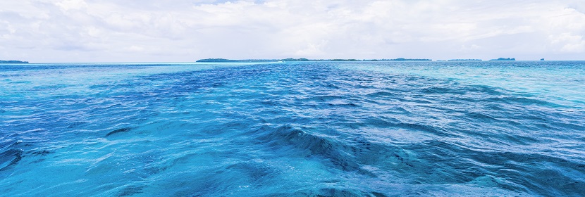 生態(tài)毒理測試