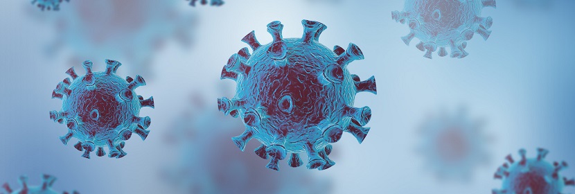 降解薄膜測(cè)試實(shí)驗(yàn)