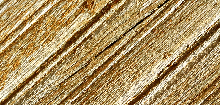 外延片檢測(cè)