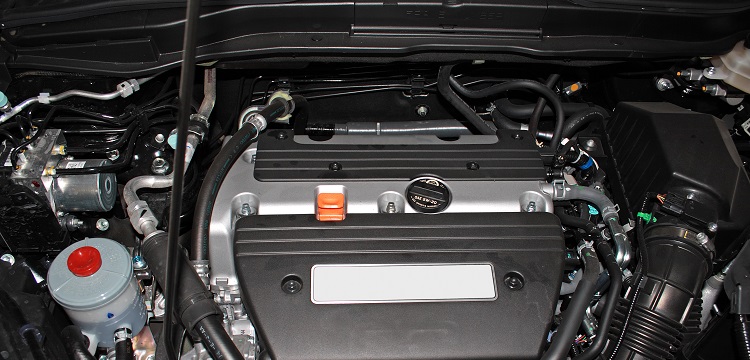 磺化對位酯檢測