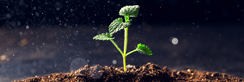 農(nóng)業(yè)用硝酸銨鈣檢測(cè)