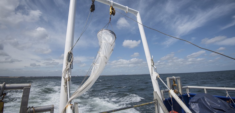 消防頭盔檢測(cè)