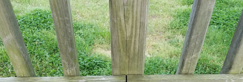 醫(yī)用有機(jī)硅材料測試