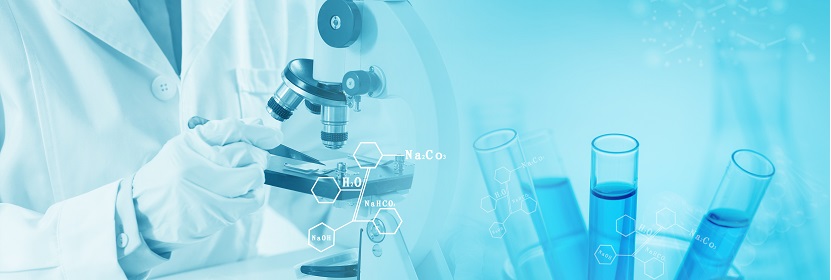 丁基羥基茴香醚檢測(cè)