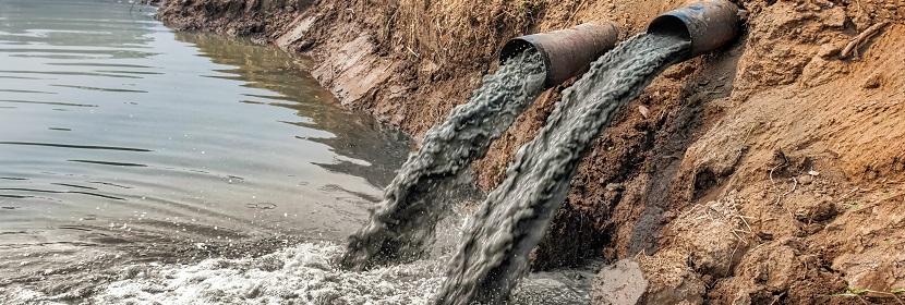 魚(yú)類(lèi)急性毒性試驗(yàn)