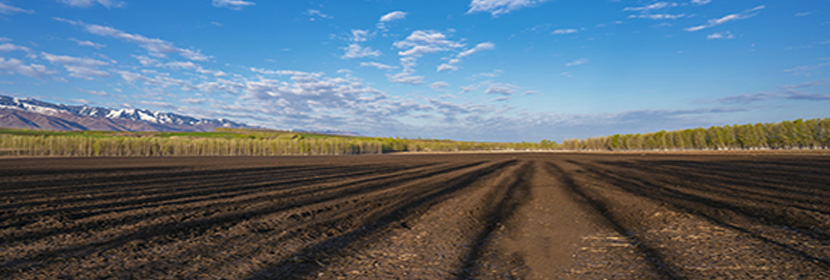 穩(wěn)定碳同位素測(cè)試