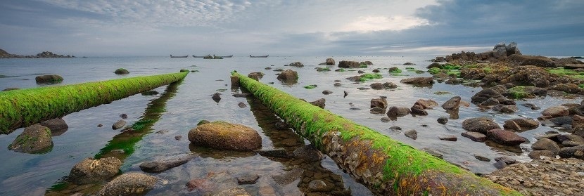 排污口論證檢測