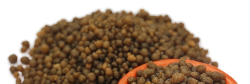 腐植酸土壤調(diào)理劑檢測