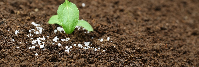 硝基腐植酸檢測