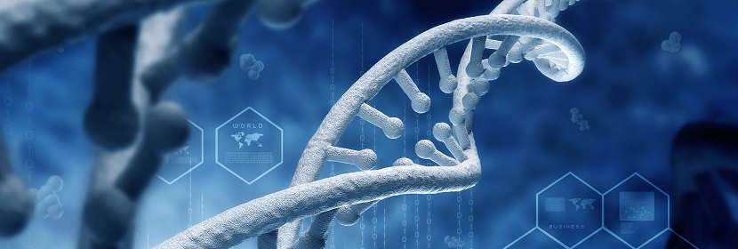 化學(xué)品染色體畸變試驗(yàn)