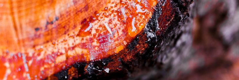 涂料用高氯化聚乙烯樹脂檢測