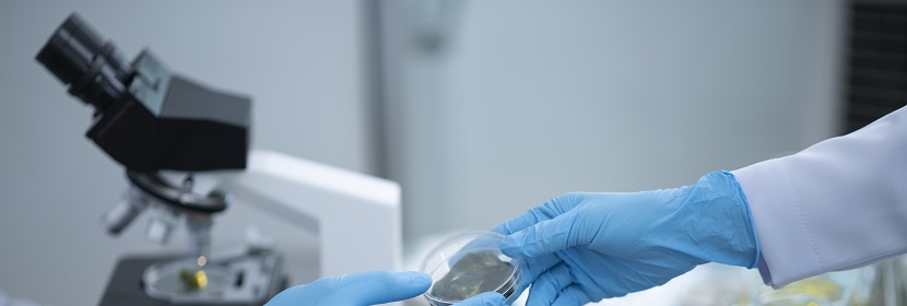 活性炭堆積密度檢測